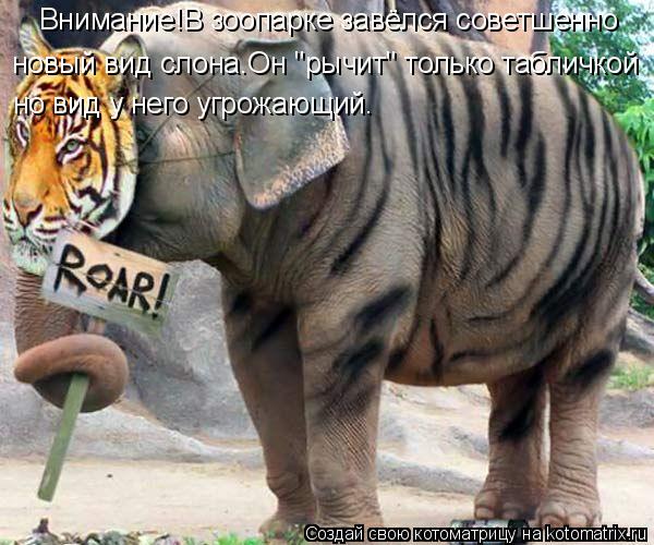 Внимание!В зоопарке завёлся советшенно новый вид слона.Он "рычит" только табличкой но вид у него угро... Котоматрица: Внимание!В зоопарке завёлся советшенно новый вид слона.Он "рычит" только табличкой но вид у него угрожающий.