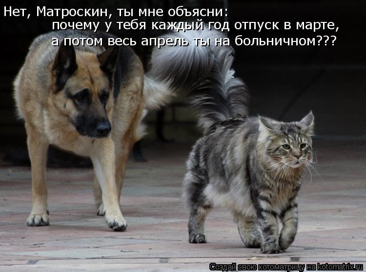 Нет, Матроскин, ты мне объясни: почему у тебя каждый год отпуск в марте, а потом весь апрель ты на бо... Котоматрица: Нет, Матроскин, ты мне объясни: почему у тебя каждый год отпуск в марте, а потом весь апрель ты на больничном???
