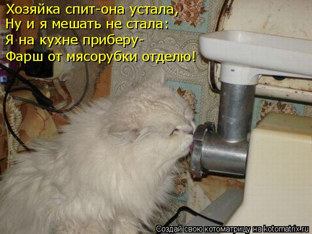 Хозяйка спит-она устала, Ну и я мешать не стала: Я на кухне приберу- Фарш от мясорубки отделю!... Котоматрица: Хозяйка спит-она устала, Ну и я мешать не стала: Я на кухне приберу- Фарш от мясорубки отделю!