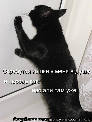 Скребутся кошки у меня в душе, и...вроде как... нас.али там уже...... Котоматрица: Скребутся кошки у меня в душе, и...вроде как... нас.али там уже...