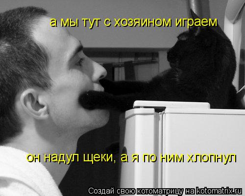а мы тут с хозяином играем он надул щеки, а я по ним хлопнул... Котоматрица: а мы тут с хозяином играем он надул щеки, а я по ним хлопнул