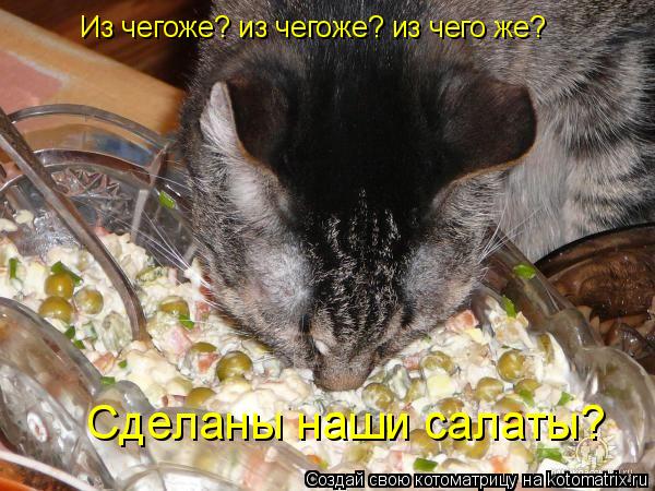 Из чегоже? из чегоже? из чего же? Сделаны наши салаты?... Котоматрица: Из чегоже? из чегоже? из чего же? Сделаны наши салаты?