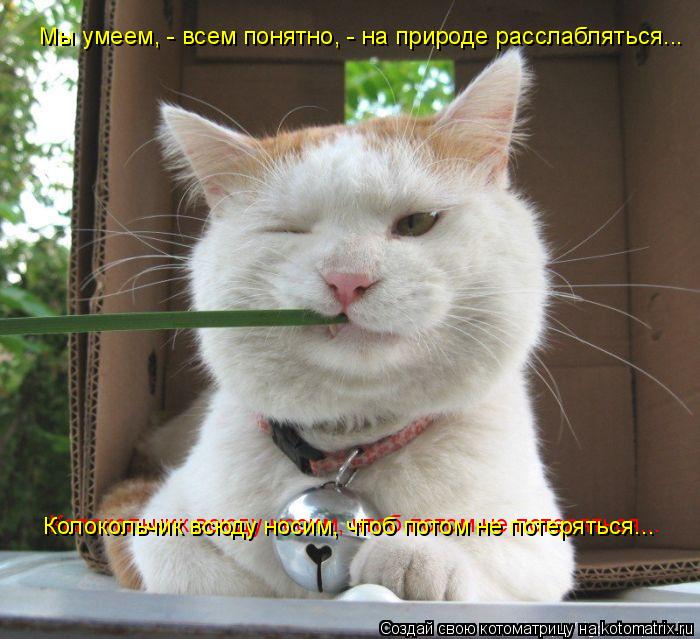 Мы умеем, - всем понятно, - на природе расслабляться... Колокольчик всюду носим, чтоб потом не поте... Котоматрица: Мы умеем, - всем понятно, - на природе расслабляться... Колокольчик всюду носим, чтоб потом не потеряться... Колокольчик всюду носим, чтоб пот