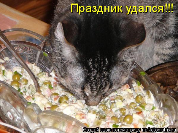 Праздник удался!!!... Котоматрица: Праздник удался!!!