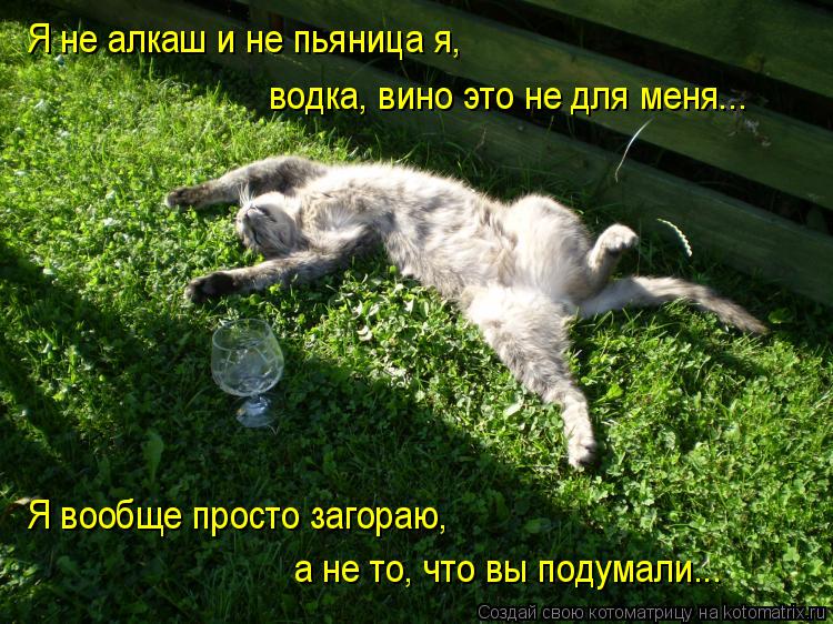 Я не алкаш и не пьяница я, Я вообще просто загораю, а не то, что вы подумали... водка, вино это не дл... Котоматрица: Я не алкаш и не пьяница я, Я вообще просто загораю, а не то, что вы подумали... водка, вино это не для меня...