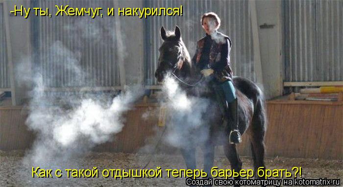 -Ну ты, Жемчуг, и накурился! Как с такой отдышкой теперь барьер брать?!... Котоматрица: -Ну ты, Жемчуг, и накурился! Как с такой отдышкой теперь барьер брать?!