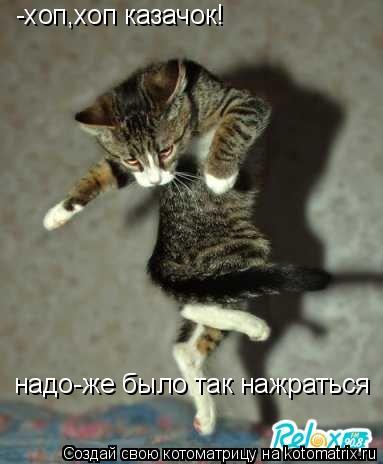 -хоп,хоп казачок! надо-же было так нажраться... Котоматрица: -хоп,хоп казачок! надо-же было так нажраться