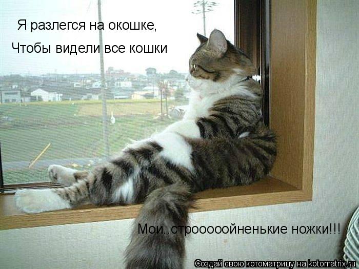 Я разлегся на окошке, Чтобы видели все кошки Мои..строоооойненькие ножки!!!... Котоматрица: Я разлегся на окошке, Чтобы видели все кошки Мои..строоооойненькие ножки!!!