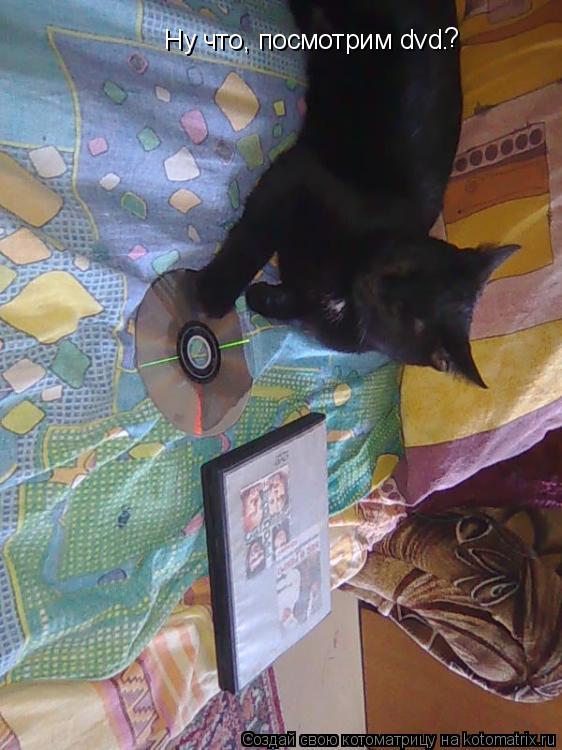 Ну что, посмотрим dvd. ?... Котоматрица: Ну что, посмотрим dvd. ?