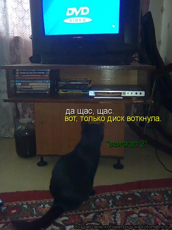 да щас, щас. вот, только диск воткнула. "ваискас 2"... Котоматрица: да щас, щас. вот, только диск воткнула. "ваискас 2"
