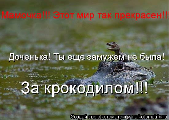 Мамочка!!! Этот мир так прекрасен!!! Доченька! Ты еще замужем не была! За крокодилом!!!... Котоматрица: Мамочка!!! Этот мир так прекрасен!!! Доченька! Ты еще замужем не была! За крокодилом!!!