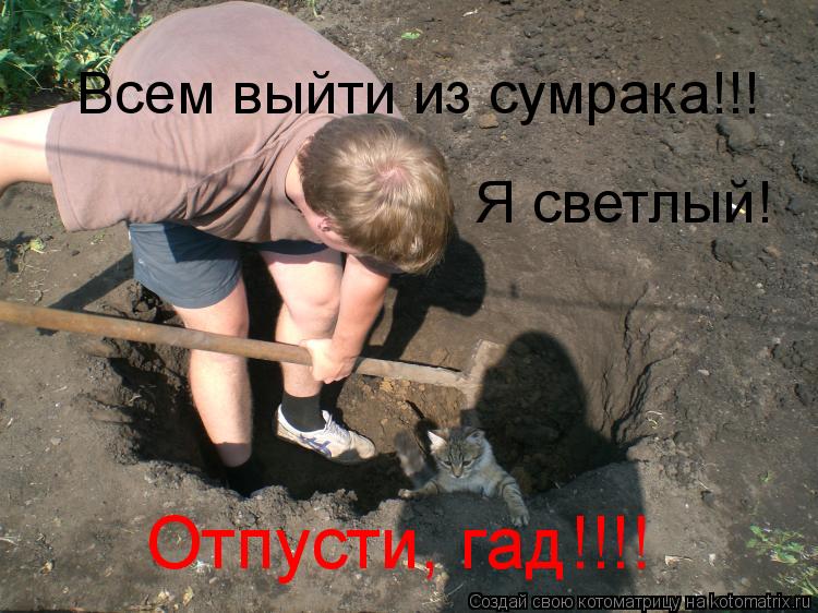 Всем выйти из сумрака!!! Я светлый! Отпусти, гад!!!!... Котоматрица: Всем выйти из сумрака!!! Я светлый! Отпусти, гад!!!!