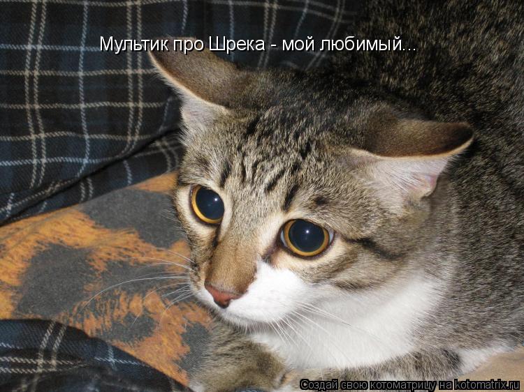 Мультик про Шрека - мой любимый...... Котоматрица: Мультик про Шрека - мой любимый...