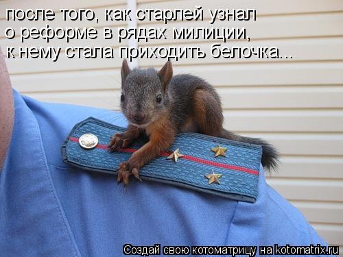 после того, как старлей узнал о реформе в рядах милиции, к нему стала приходить белочка...... Котоматрица: после того, как старлей узнал о реформе в рядах милиции, к нему стала приходить белочка...