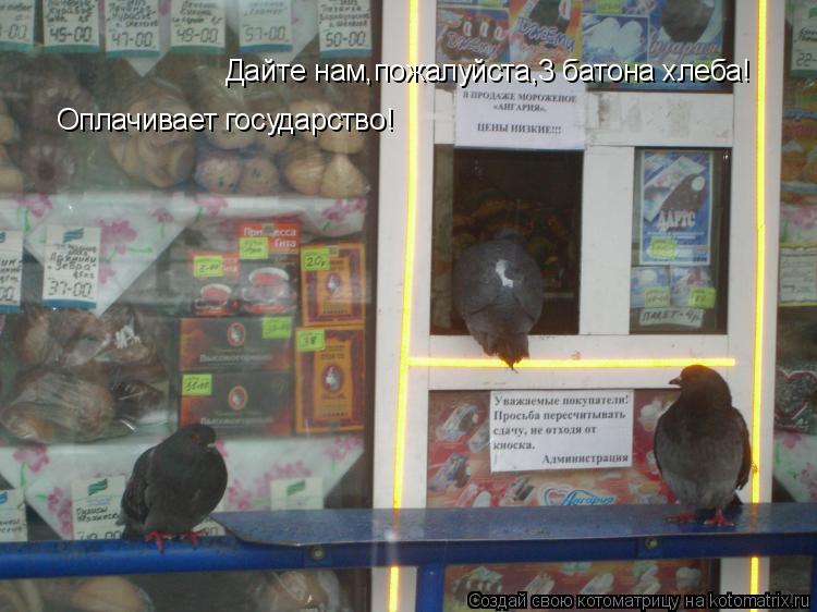 Дайте нам,пожалуйста,3 батона хлеба! Оплачивает государство!... Котоматрица: Дайте нам,пожалуйста,3 батона хлеба! Оплачивает государство!