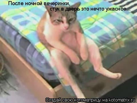 После ночной вечеринки, стук в дверь это нечто ужасное...... Котоматрица: После ночной вечеринки, стук в дверь это нечто ужасное...
