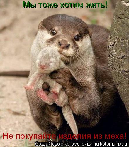 Мы тоже хотим жить! Не покупайте изделия из меха!... Котоматрица: Мы тоже хотим жить! Не покупайте изделия из меха!