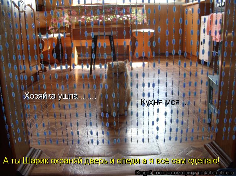 Хозяйка ушла........ Кухня моя..... А ты Шарик охраняй дверь и следи а я всё сам сделаю!... Котоматрица: Хозяйка ушла........ Кухня моя..... А ты Шарик охраняй дверь и следи а я всё сам сделаю!