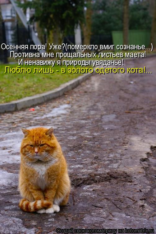 Противна мне прощальных листьев маета! И ненавижу я природы увяданье! Осенняя пора! Уже?(померкло вми... Котоматрица: Противна мне прощальных листьев маета! И ненавижу я природы увяданье! Осенняя пора! Уже?(померкло вмиг сознанье...) Люблю лишь - в золото одет