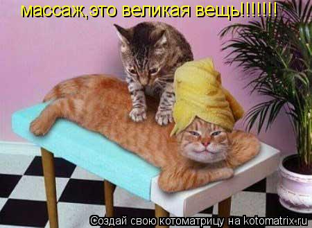 массаж,это великая вещь!!!!!!!... Котоматрица: массаж,это великая вещь!!!!!!!