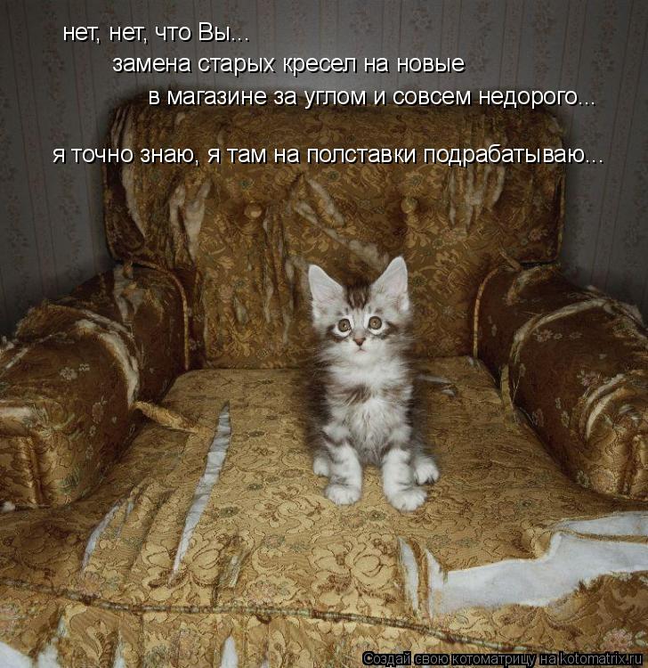 нет, нет, что Вы... замена старых кресел на новые в магазине за углом и совсем недорого... я точно з... Котоматрица: нет, нет, что Вы... замена старых кресел на новые в магазине за углом и совсем недорого... я точно знаю, я там на полставки подрабатываю...