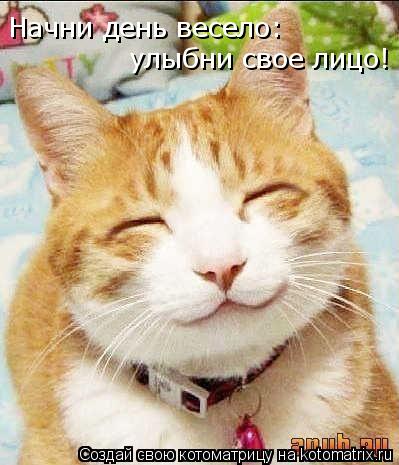 Начни день весело: улыбни свое лицо!... Котоматрица: Начни день весело: улыбни свое лицо!