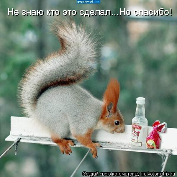 Не знаю кто это сделал...Но спасибо!... Котоматрица: Не знаю кто это сделал...Но спасибо!