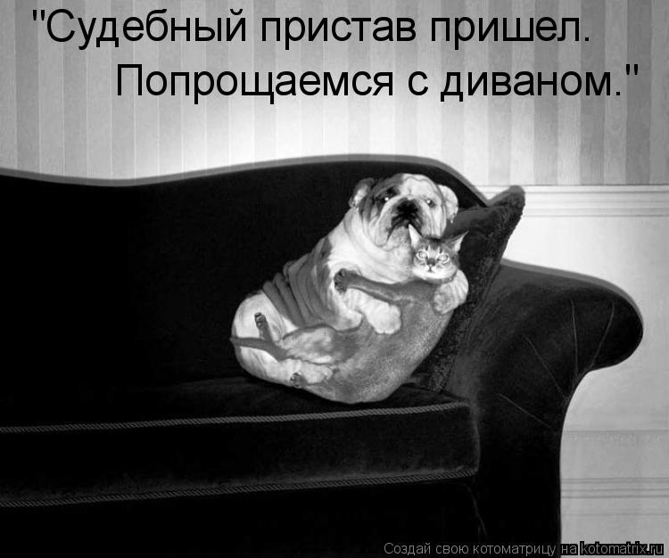 "Судебный пристав пришел. Попрощаемся с диваном."... Котоматрица: "Судебный пристав пришел. Попрощаемся с диваном."