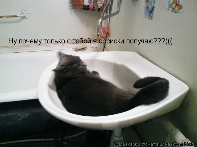 Ну почему только с тобой я сосиски получаю???(((... Котоматрица: Ну почему только с тобой я сосиски получаю???(((
