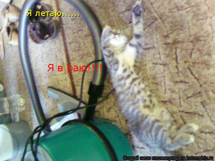 Я летаю...... Я в раю!!!!... Котоматрица: Я летаю...... Я в раю!!!!