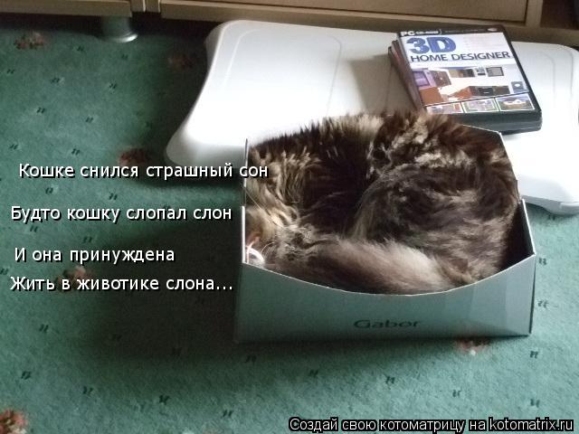 Кошке снился страшный сон Будто кошку слопал слон И она принуждена Жить в животике слона...... Котоматрица: Кошке снился страшный сон Будто кошку слопал слон И она принуждена Жить в животике слона...
