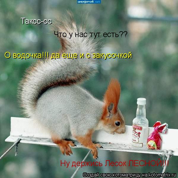 Таксс-сс Что у нас тут есть?? О водочка!!! да еще и с закусочкой Ну держись Лесок ЛЕСНОЙ!!!... Котоматрица: Таксс-сс Что у нас тут есть?? О водочка!!! да еще и с закусочкой Ну держись Лесок ЛЕСНОЙ!!!