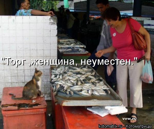 "Торг ,женщина, неуместен."... Котоматрица: "Торг ,женщина, неуместен."