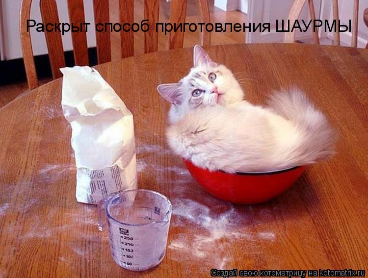 Раскрыт способ приготовления ШАУРМЫ... Котоматрица: Раскрыт способ приготовления ШАУРМЫ