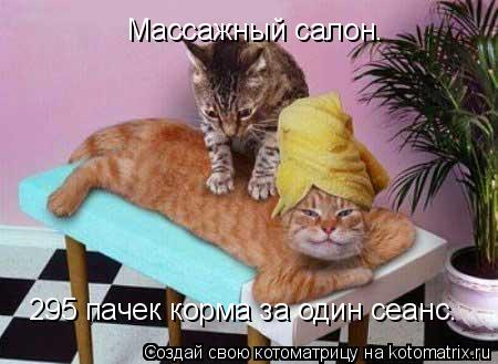 Массажный салон. 295 пачек корма за один сеанс.... Котоматрица: Массажный салон. 295 пачек корма за один сеанс.
