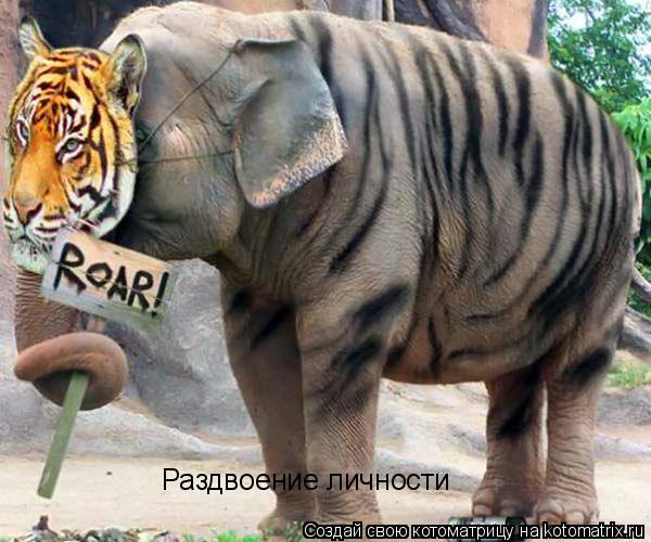 Раздвоение личности... Котоматрица: Раздвоение личности