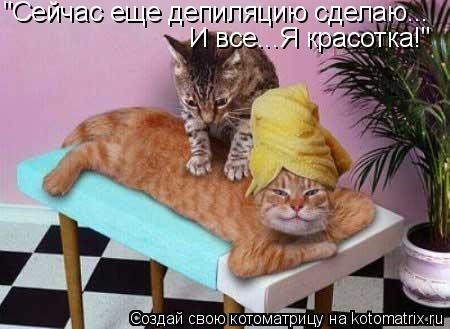 "Сейчас еще депиляцию сделаю... И все...Я красотка!"... Котоматрица: "Сейчас еще депиляцию сделаю... И все...Я красотка!"