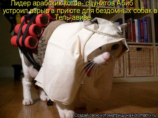 Лидер арабских котов- сцунитов Абиб устроил взрыв в приюте для бездомных собак в Тель-авиве... Котоматрица: Лидер арабских котов- сцунитов Абиб устроил взрыв в приюте для бездомных собак в Тель-авиве