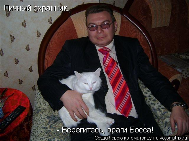 Личный охранник. - Берегитесь, враги Босса!... Котоматрица: Личный охранник. - Берегитесь, враги Босса!