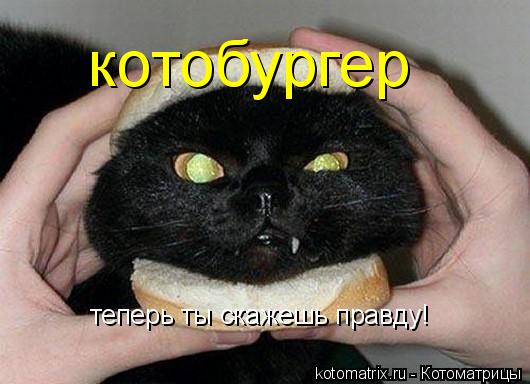 котобургер теперь ты скажешь правду!... Котоматрица: котобургер теперь ты скажешь правду!