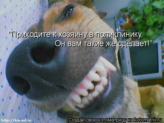 "Приходите к хозяину в поликлинику. Он вам такие же сделает!"... Котоматрица: "Приходите к хозяину в поликлинику. Он вам такие же сделает!"