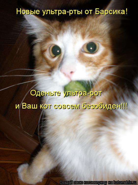 Новые ультра-рты от Барсика! Оденьте ультра-рот и Ваш кот совсем безобиден!!!... Котоматрица: Новые ультра-рты от Барсика! Оденьте ультра-рот и Ваш кот совсем безобиден!!!