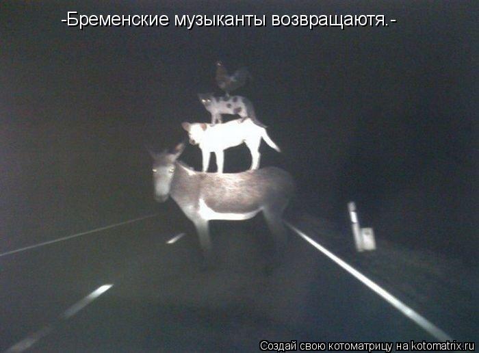 -Бременские музыканты возвращаютя.-... Котоматрица: -Бременские музыканты возвращаютя.-