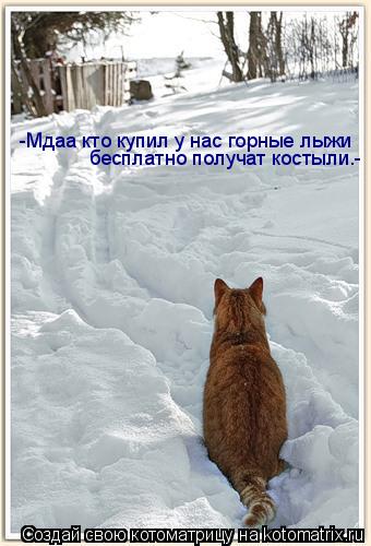 -Мдаа кто купил у нас горные лыжи бесплатно получат костыли.-... Котоматрица: -Мдаа кто купил у нас горные лыжи бесплатно получат костыли.-