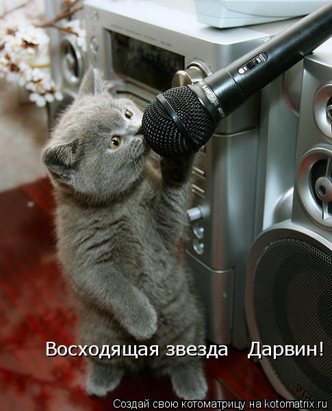 Восходящая звезда Дарвин!... Котоматрица: Восходящая звезда Дарвин!