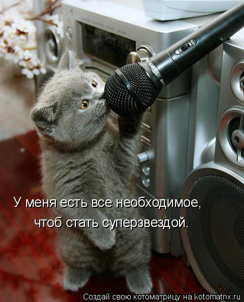 У меня есть все необходимое, чтоб стать суперзвездой.... Котоматрица: У меня есть все необходимое, чтоб стать суперзвездой.