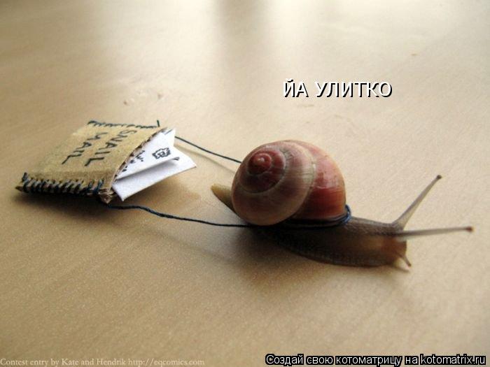 ЙА УЛИТКО... Котоматрица: ЙА УЛИТКО