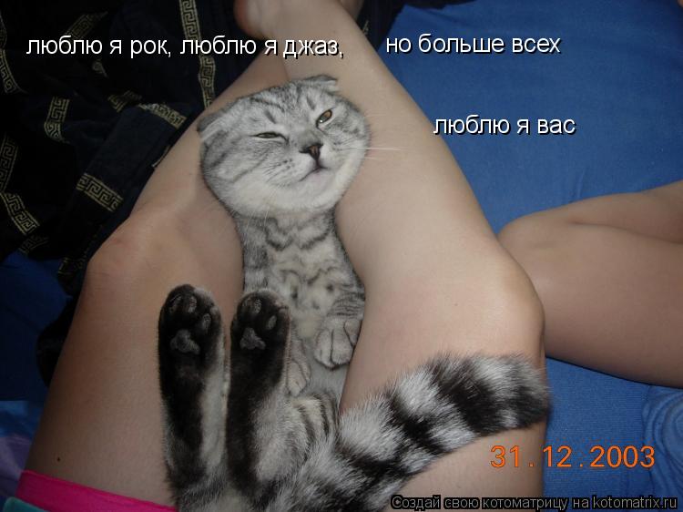 люблю я рок, люблю я джаз, но больше всех люблю я вас... Котоматрица: люблю я рок, люблю я джаз, но больше всех люблю я вас