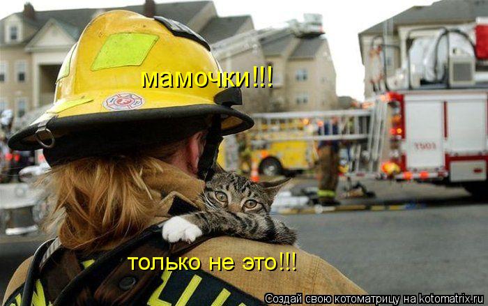 мамочки!!! только не это!!!... Котоматрица: мамочки!!! только не это!!!