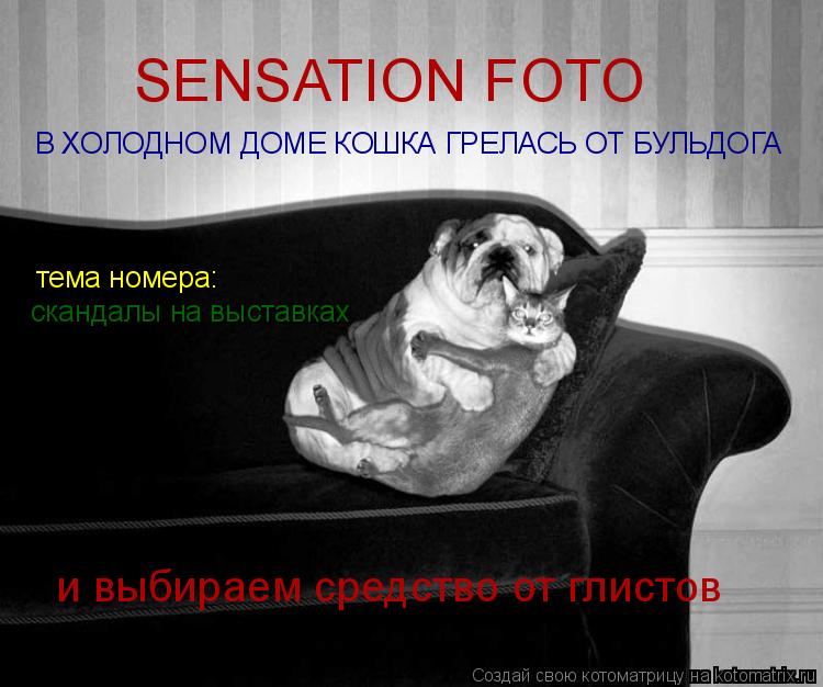 SENSATION FOTO В ХОЛОДНОМ ДОМЕ КОШКА ГРЕЛАСЬ ОТ БУЛЬДОГА тема номера: скандалы на выставках и выбира... Котоматрица: SENSATION FOTO В ХОЛОДНОМ ДОМЕ КОШКА ГРЕЛАСЬ ОТ БУЛЬДОГА тема номера: скандалы на выставках и выбираем средство от глистов